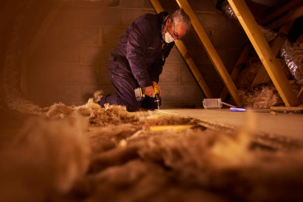 Insulation for New Construction in Pioche, NV
